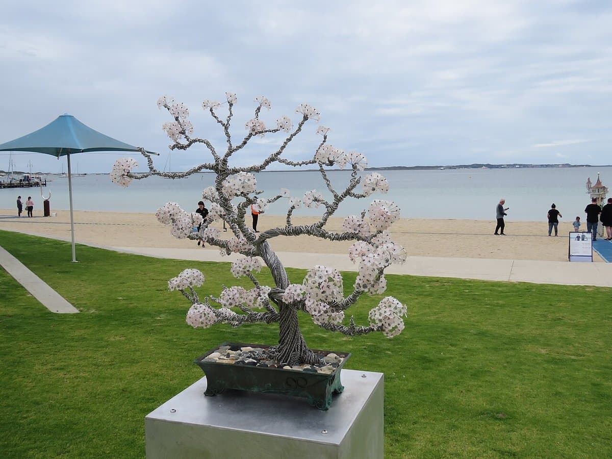 Cherry Blossom Bonsai Showpiece