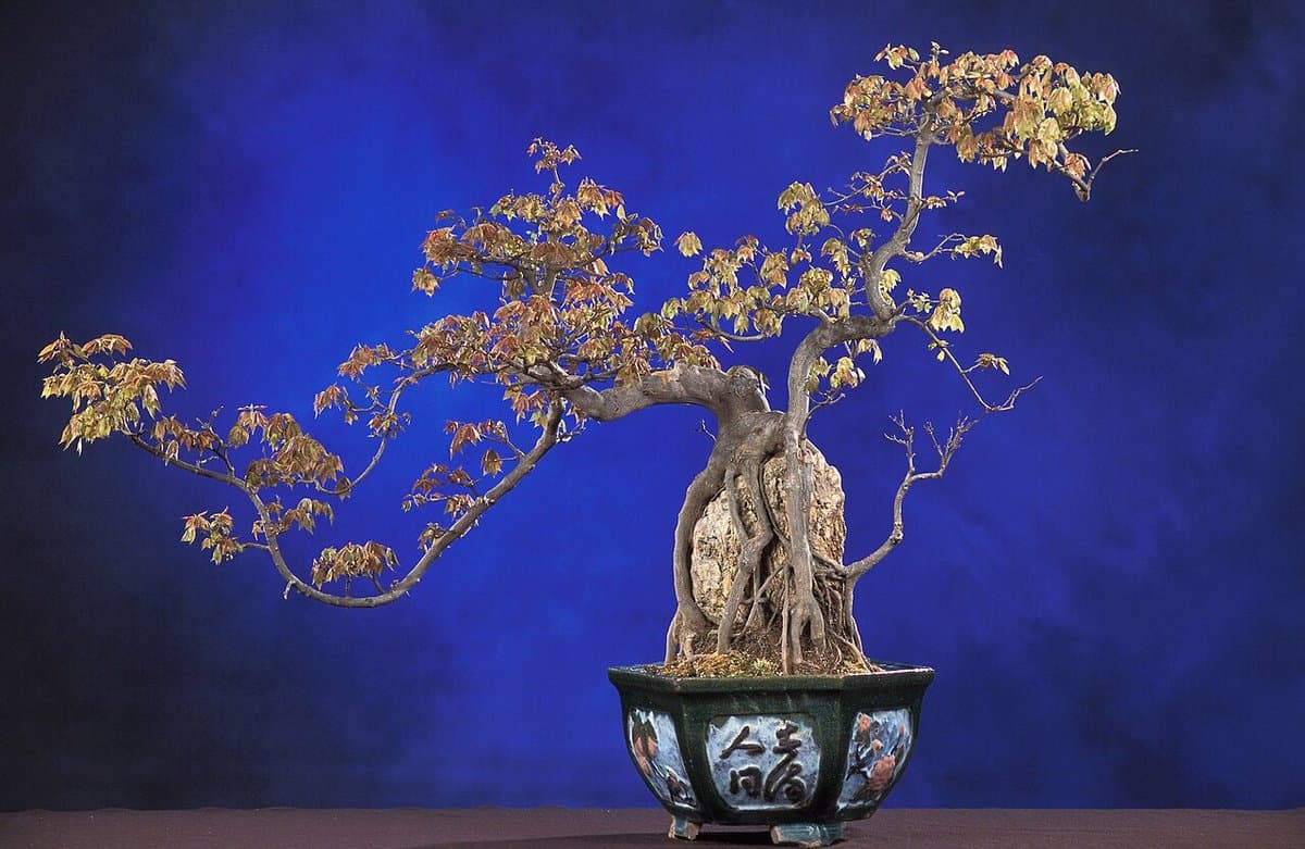 Golden Metal Leaf Bonsai Tree